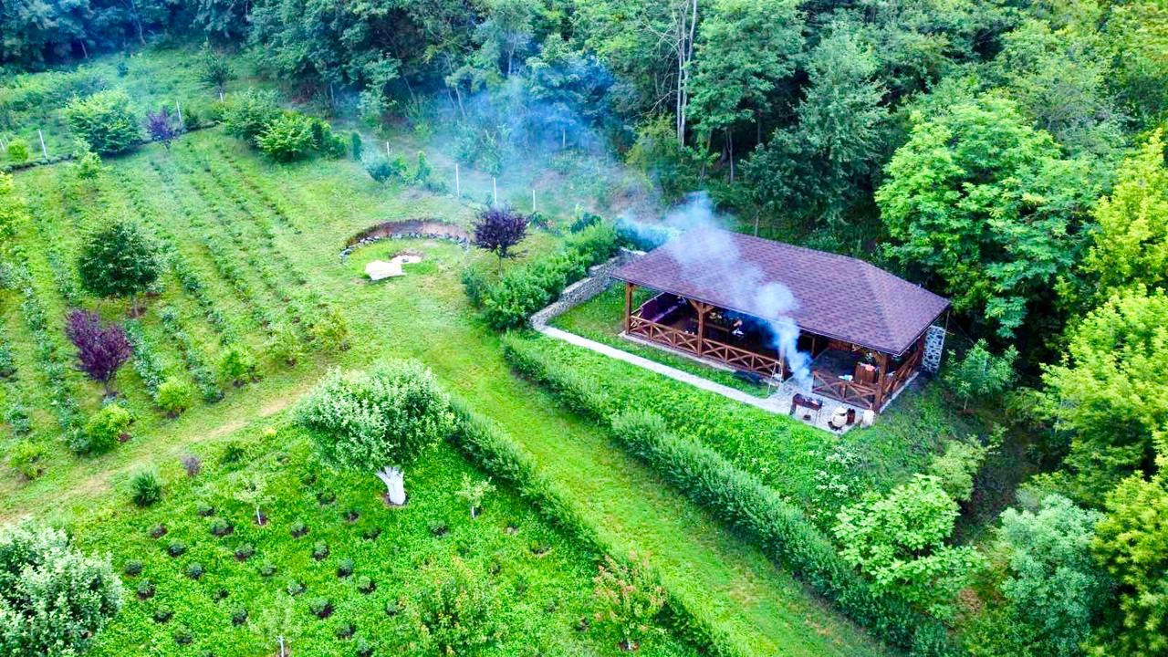 Відпочинок у Півонієвій долині